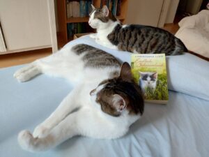 Read more about the article <i>Endlich Schnurrlaub – Katzen auf Reisen</i>